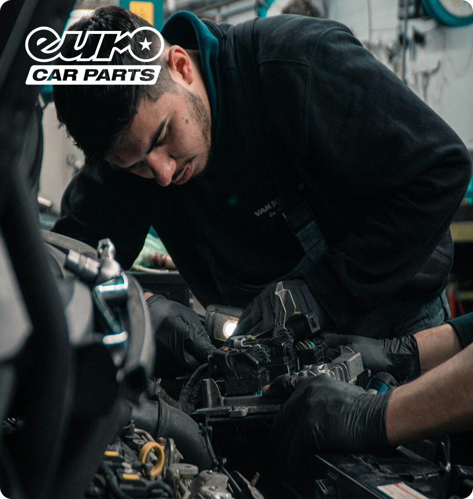 LKQ Euro Car Parts case study