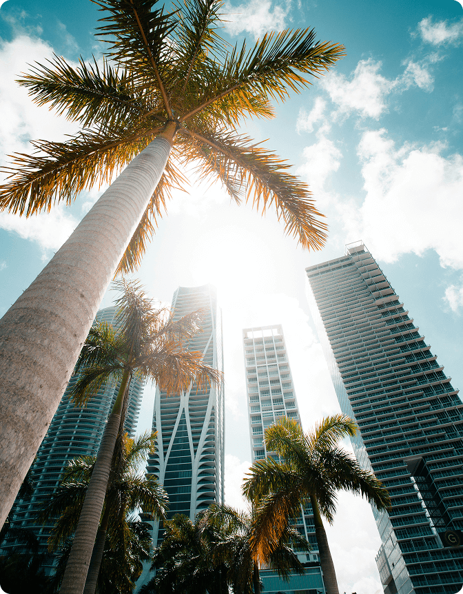 Velstar office Miami